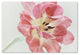 Cora Niele 'Red Tulip' Canvas Art