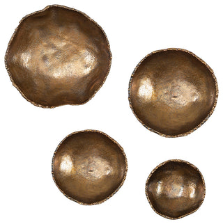 Lucky Coins Brass Wall Bowls