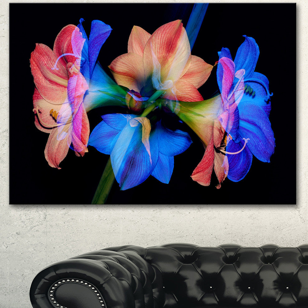 Abstract Blue Red Flower on Black, Extra Large Floral Wall Art, 60"x28"
