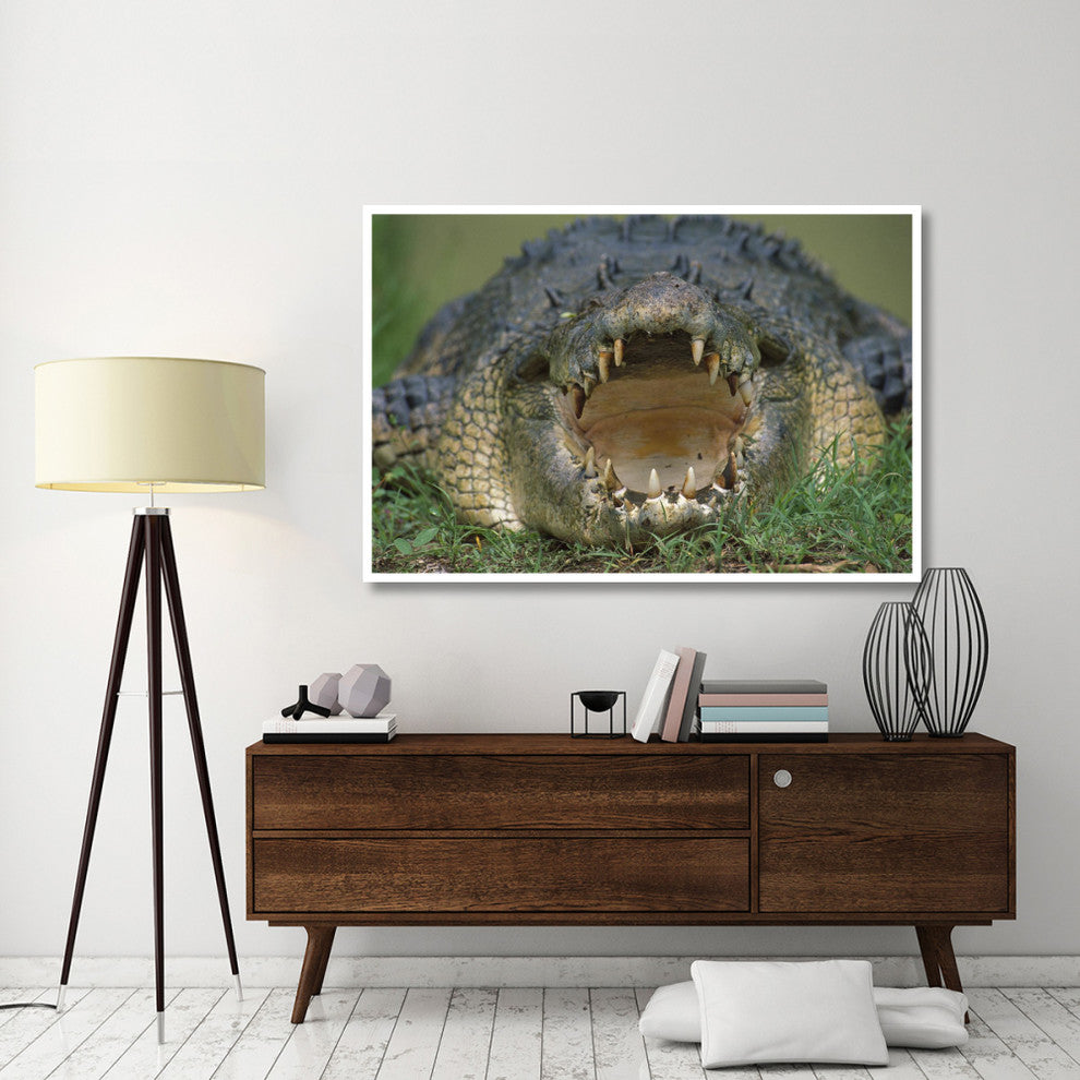 "Saltwater/Estuarine Crocodile, open mouth, Australia" Paper Art, 62"x42"