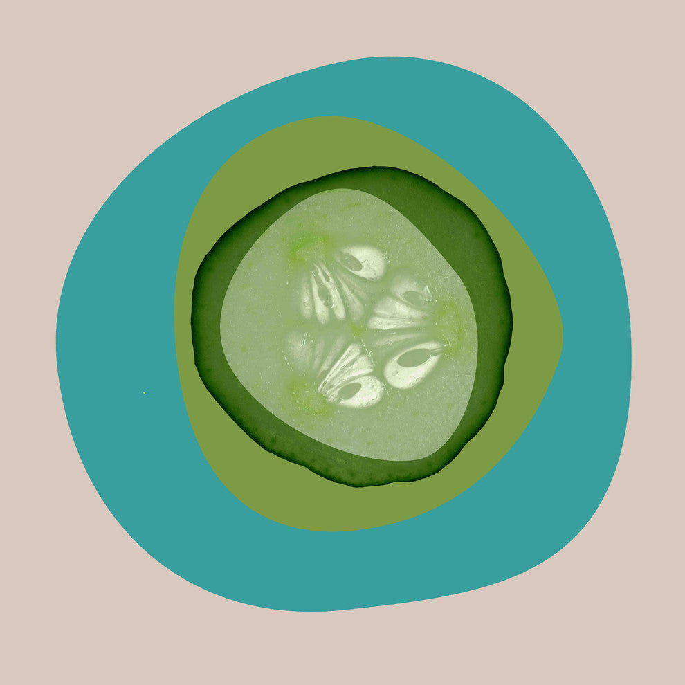"September Cucumber" Painting Print on Canvas by Irena Orlov