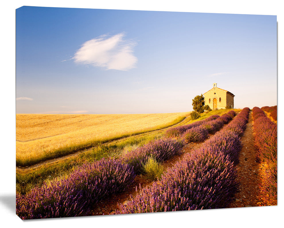 Grain Fields with Lavender Rows, Landscape Canvas Wall Art, 40"x30"