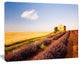 Grain Fields with Lavender Rows, Landscape Canvas Wall Art, 40"x30"
