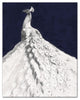 Glorious White Peacock 11x14 Canvas Wall Art