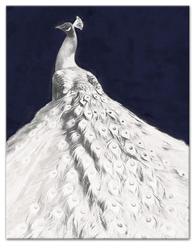 Glorious White Peacock 11x14 Canvas Wall Art