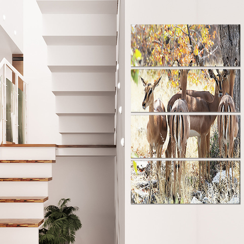 Beautiful Herd of Antelope Gnu, African Canvas Print, 28"x48", 4 Panels