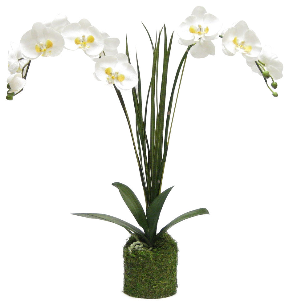 Artificial Phalaenopsis Double Orchid Drop In