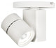 WAC Lighting Exterminator II LED Monopoint, White