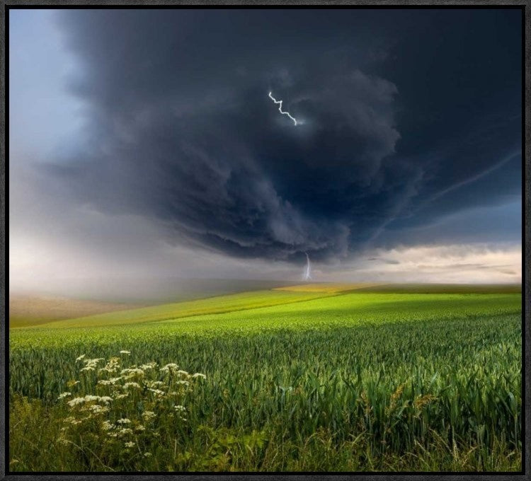 "June Storm" Framed Canvas Giclee by Franz Schumacher, 23x21"
