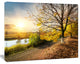 Beautiful Road by the River, Large Landscape Canvas Art, 60"x28"