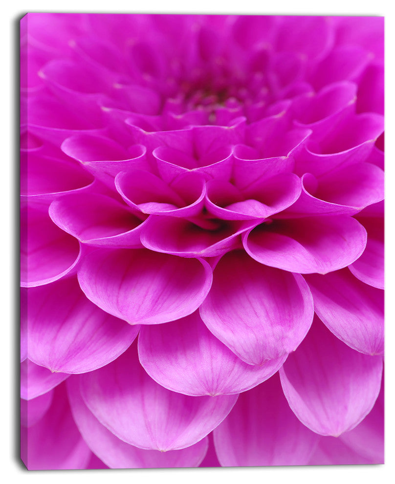 Abstract Purple Flower and Petals, Floral Canvas Art Print, 30"x40"