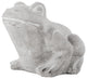 Cement Northern Rainfrog Figurine Washed Concrete Gray Finish, Large