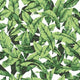 Palm Leaf Peel and Stick Wallpaper