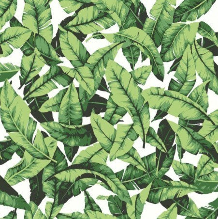 Palm Leaf Peel and Stick Wallpaper