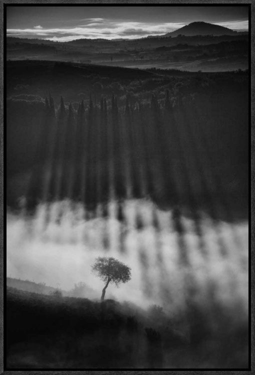 "Rising Up" Framed Canvas Giclee by Peter Svoboda, 16x23"