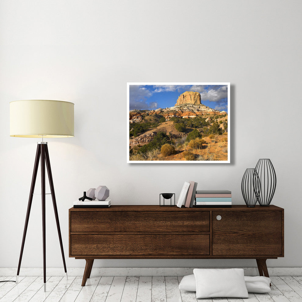 "Square Butte near Kaibito, Arizona" Paper Print by Tim Fitzharris, 42"x32"