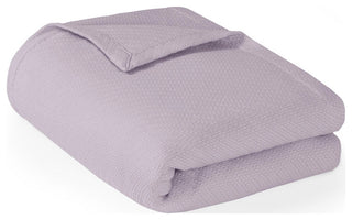 Madison Park Liquid Cotton Liquid Cotton Blanket, Lilac