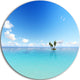 Blue Corals Island Sea, Seashore Round Wall Art, 23"