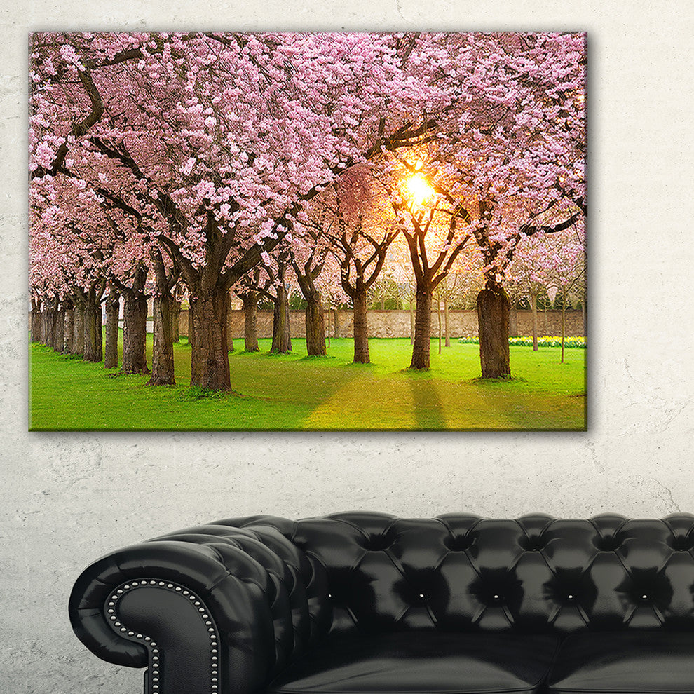 "Fascinating Springtime Cherry Scenery" Landscape Art Print Canvas, 40"x20"