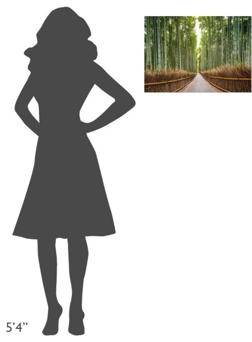 "Bamboo Forest, Kyoto, Japan" Stretched Canvas Giclee by Pangea Images, 22x16"