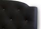 Canterbury Black Leather Contemporary Queen-Size Bed