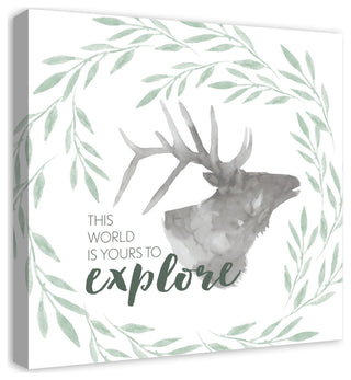 Yours To Explore Elk 24x24 Canvas Wall Art