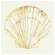 "Coastal Breeze Shell Sketches V" Digital Paper Print by Anne Tavoletti, 42"x42"