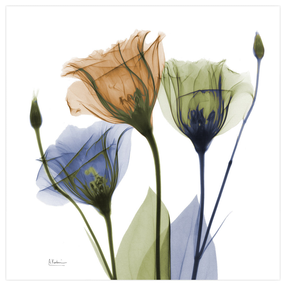 "Gentian Buddies" Frameless Free Floating Panel Graphic Wall Art, 24"x24"
