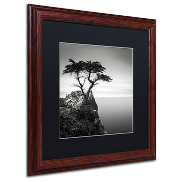 ''The Lone Cypress'' Matted Framed Canvas Art by Dave MacVicar