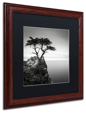 'The Lone Cypress' Matted Framed Canvas Art by Dave MacVicar