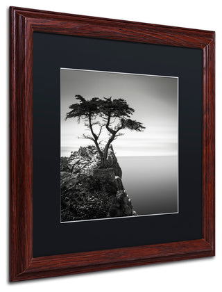 'The Lone Cypress' Matted Framed Canvas Art by Dave MacVicar