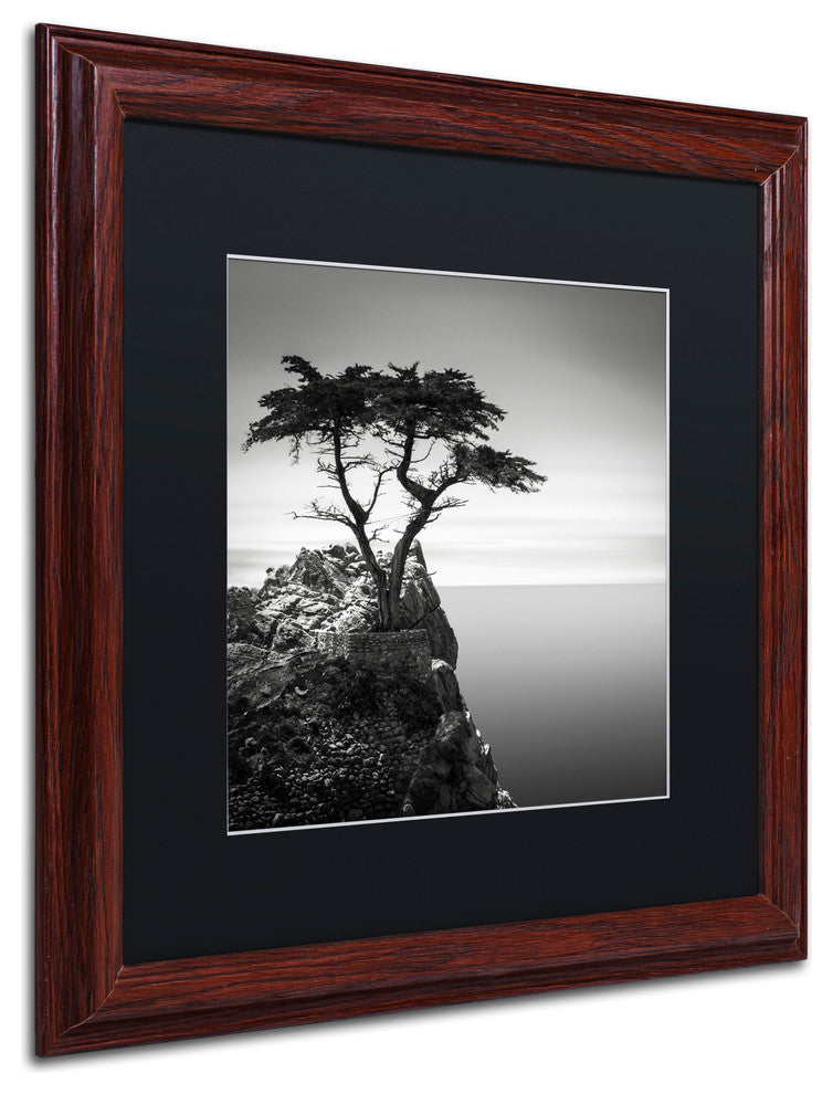 'The Lone Cypress' Matted Framed Canvas Art by Dave MacVicar