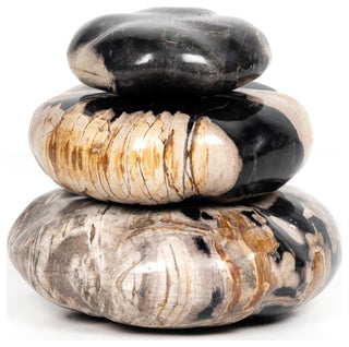 Petrified Wood Organic Sculpture-Dark