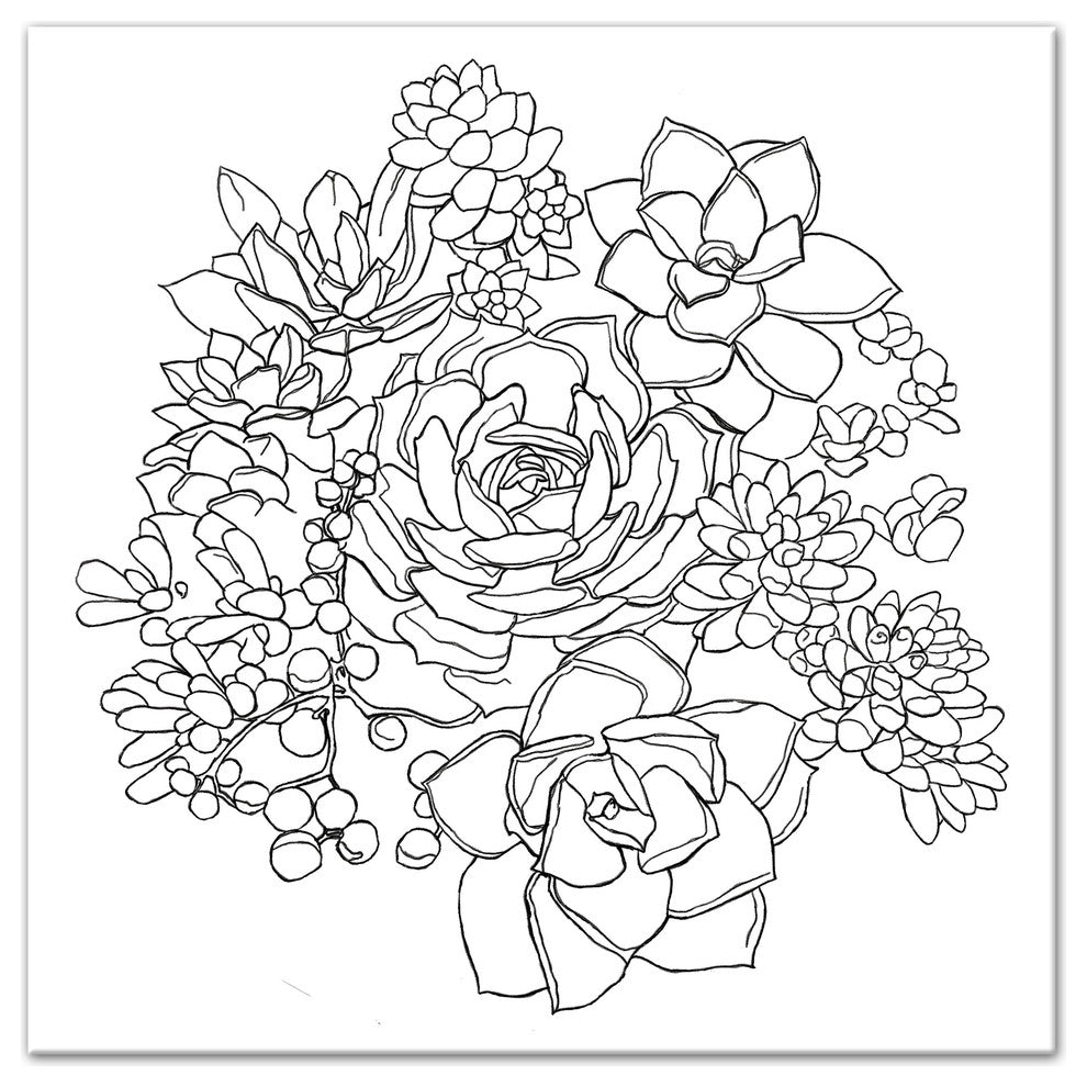 "Succulent Sketch" Canvas Wall Art, 16"x16"