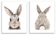 Adorable Bunny Cotton Tail Kid's Rabbit Blushing,10 x 15