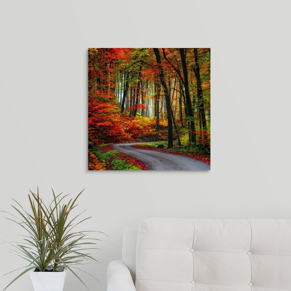 "Colorful Way" Wrapped Canvas Art Print, 20"x20"x1.5"