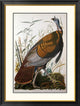 "Wild Turkey, Male" Framed Digital Print by John James Audubon, 30x40"
