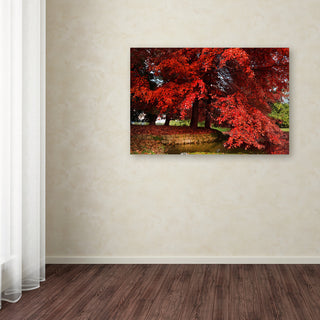 'October' Canvas Art by Philippe Sainte-Laudy