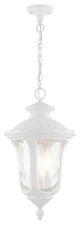Textured White Traditional, Victorian, Sculptural, Outdoor Pendant Lantern
