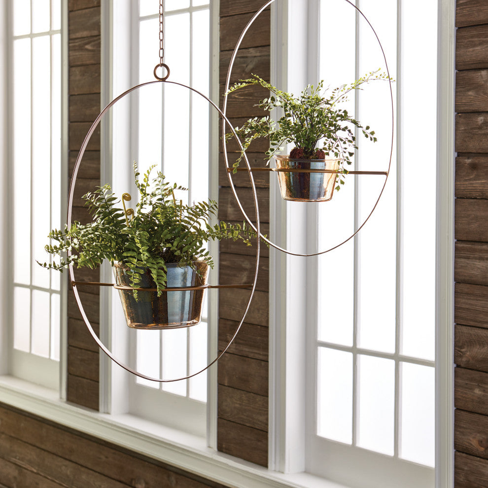 Boston Fern Rustic Drop-In, 12"