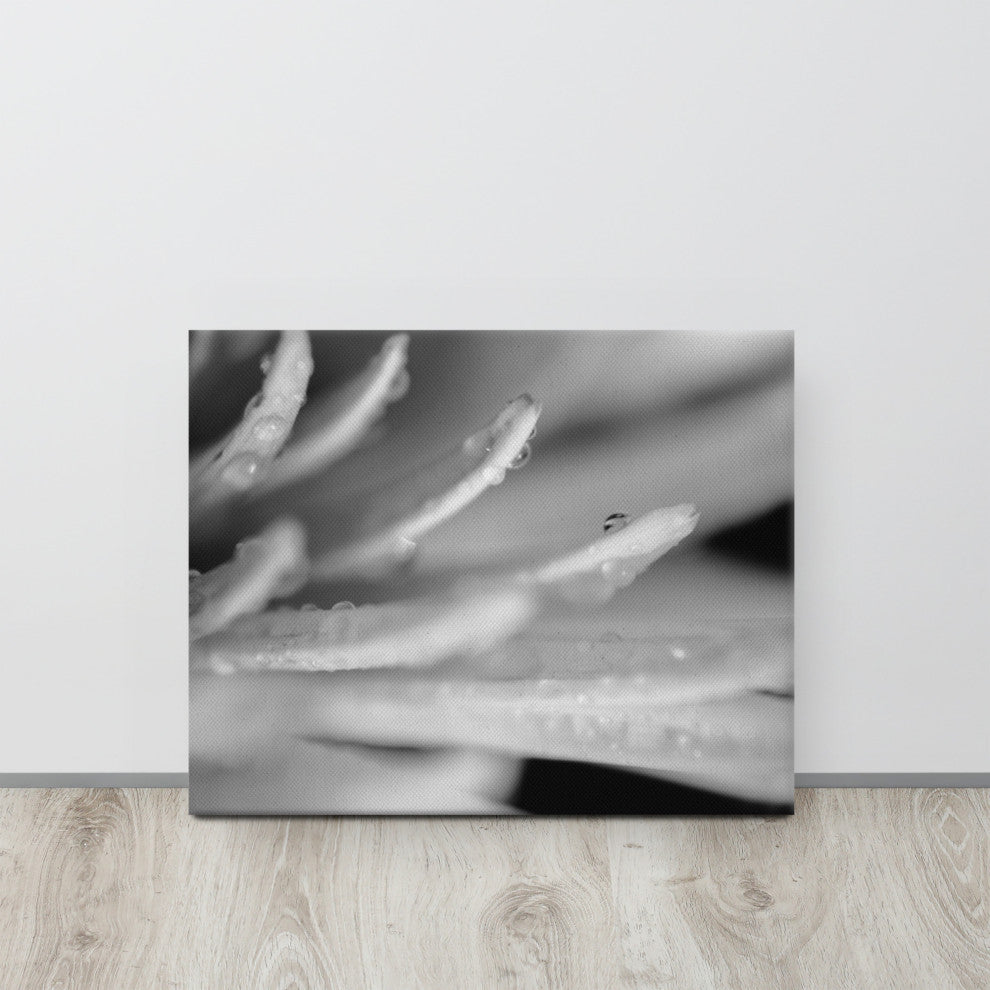 Droplets on Petals Floral Nature Photography Canvas Wall Art Print, 16" X 20"