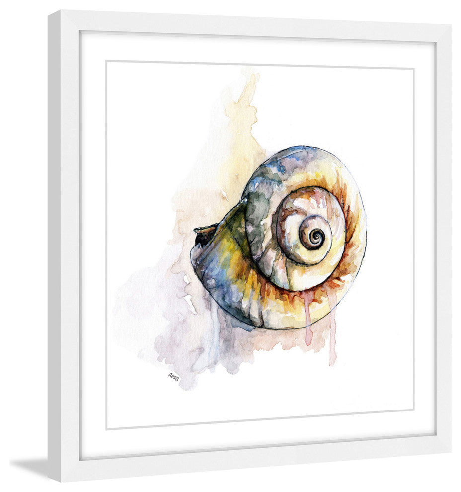 "Snail Shell" Framed Print by Rachel Byler