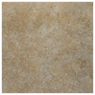 Roma Noce Porcelain Floor and Wall Tile
