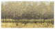 "Golden Trees Taupe III" Digital Paper Print by James Wiens, 50"x26"