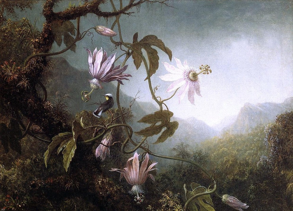 Martin Johnson Heade Hummingbird Perched near Passion Flowers Wall Decal