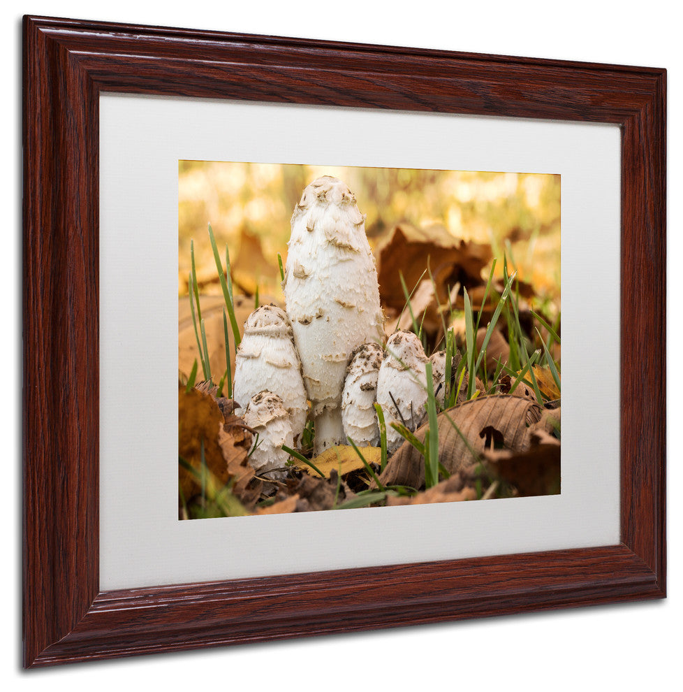 Jason Shaffer 'Autumn Mushrooms' Matted Framed Art, Wood Frame, White Mat, 14x11