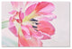 Cora Niele ''Cerise Tulip'' Canvas Art