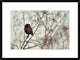 "Look At Me" Framed Digital Print by Emilian Avramescu, 30x22"