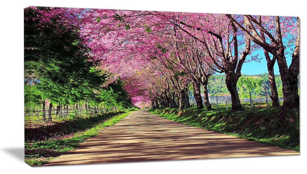 "Cherry Blossom Pathway in Chiang Mai" Landscape Wall Art, 32"x16"