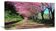 "Cherry Blossom Pathway in Chiang Mai" Landscape Wall Art, 32"x16"